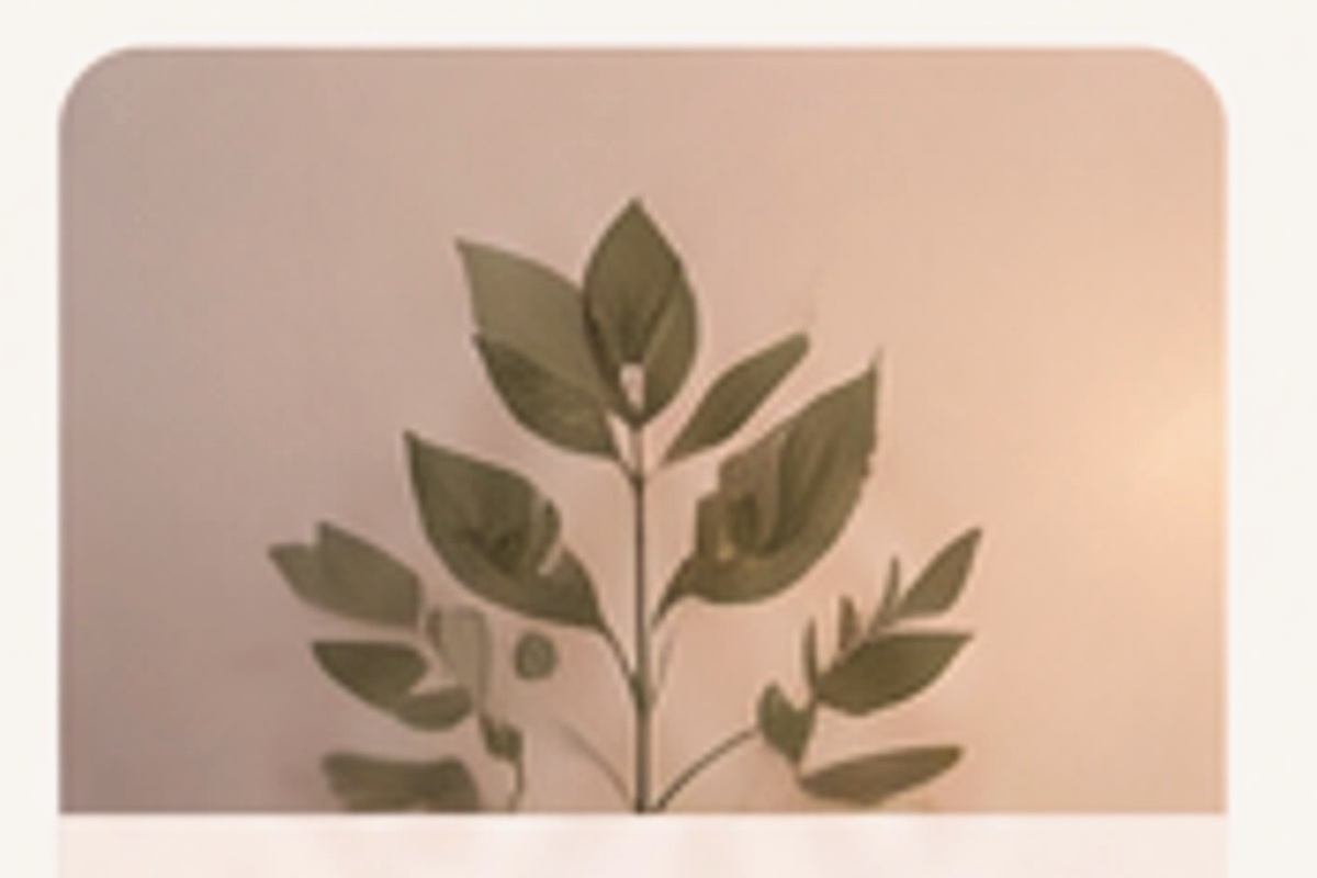 Life Transitions & Adjustment